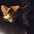Mindy Newberry's profile image