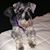 Diana Goddard's profile image