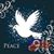 Lois Dailey Duncan's profile image