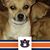 Sandra Aldridge-Wilt's profile image