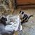 Debra Brown's profile image