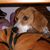 Cindy Buckner's profile image