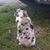 Karen Fales's profile image