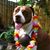 Dozer Ellie's profile image