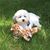 LouAnn Fare's profile image