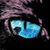 Skye Aubrey's profile image