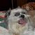 Misty Smith's profile image
