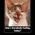 Tina Marie's profile image