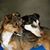 Kelley Harbin Truax's profile image