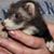 Marie Grist's profile image