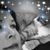Kimberly Strawska Hackett's profile image