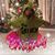 Deanna Popke's profile image