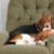 Carolyn Garner's profile image
