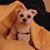 Annie Glenn's profile image