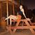 Sarah Elizabeth's profile image