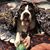 Kristin Brantley's profile image