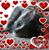 Lori Pelfrey's profile image