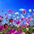 Susan Ras-Louth's profile image