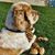 Kathy Kach's profile image