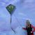 Mona Coursey-Cook's profile image