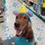 Beth Courter-Hall's profile image
