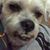Larry Pimentel's profile image