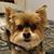 Debbie Munday's profile image