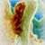 Cyndi Pittenger's profile image
