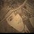 Linda Harris Thomas's profile image