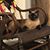 Betty Tatlock Hughes's profile image