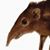 David Porter Temple's profile image