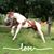 Tracy Pavan's profile image