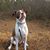Ray Carr's profile image