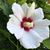 Anne Simard's profile image