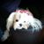 Melanie Asbell Trowbridge's profile image