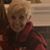 Judy Flammer's profile image
