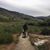 Heather Bergstrom's profile image