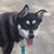 Julie Terhesh Wilson's profile image