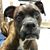 Beth Skoubo's profile image