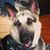 Audrey Gorman Werner's profile image