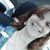 Desiree Davis's profile image