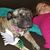 Lynda Linn's profile image