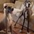 Maureen Zukoski's profile image