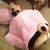 Karen Davis Crole's profile image