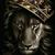 Rodney Miller's profile image