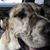 KJ Bobenrieth's profile image