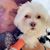 Lemonia Niemann's profile image