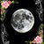 Wendi Replogle's profile image