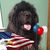 John Seales's profile image
