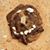 Nick Williams's profile image